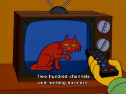 "200 channels, nothing but cats", -"Wild Barts Can't Be Broken"