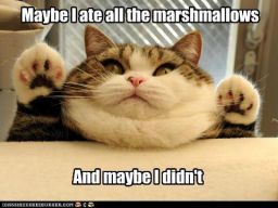 Marshmallows http://chzb.gr/tpjTZz