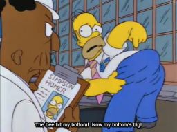 "The bee bit my bottom!  Now my bottom's big!", -"Homer Goes to College"