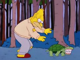 "I've been here for four days and         that turtle's got all of my teeth!", -"The Springfield Files"