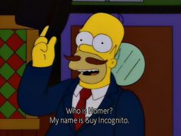 "Homer?  Who is Homer? My name is Guy Incognito.", -"Fear of Flying"