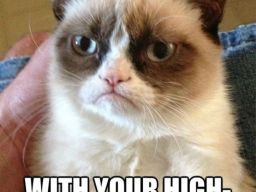 "Do not patronize me with your high-pitched baby voice!", -"Grumpy Cat"